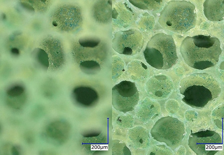 High-magnification observation Left: without depth composition/right: depth composition (200x)