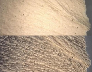 Top: conventional, bottom: multi-lighting image