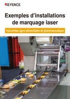 Exemples d’installations de marquage laser Industries agro-alimentaire et pharmaceutique