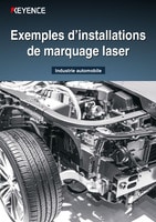 Exemples d’installations de marquage laser [Industrie automobile]