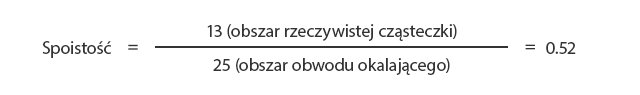 Analiza obrazu podczas pomiaru kształtu cząstek