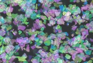 Użycie mikroskopów cyfrowych do obserwacji i pomiarów pigmentów