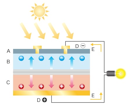 A: Folia przeciwodblaskowa B: krzem typu n C: krzem typu p D: Elektrody E: prąd