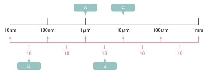 A: Bateria B: Grzyby C: Komórki ludzkie D: Wirusy